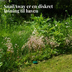 SnailAway